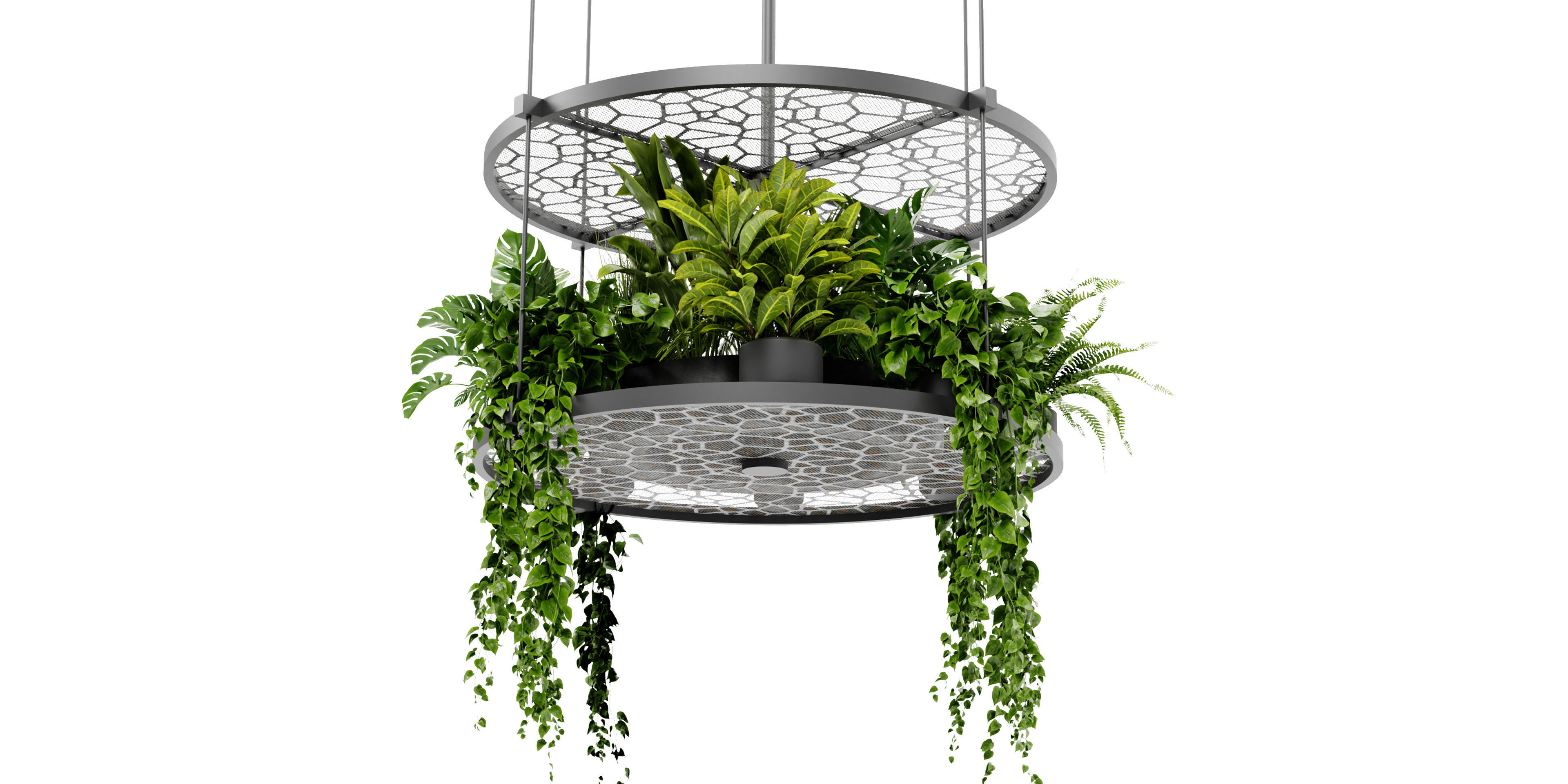 Collection plant vol 432 - blender model  3D model_3