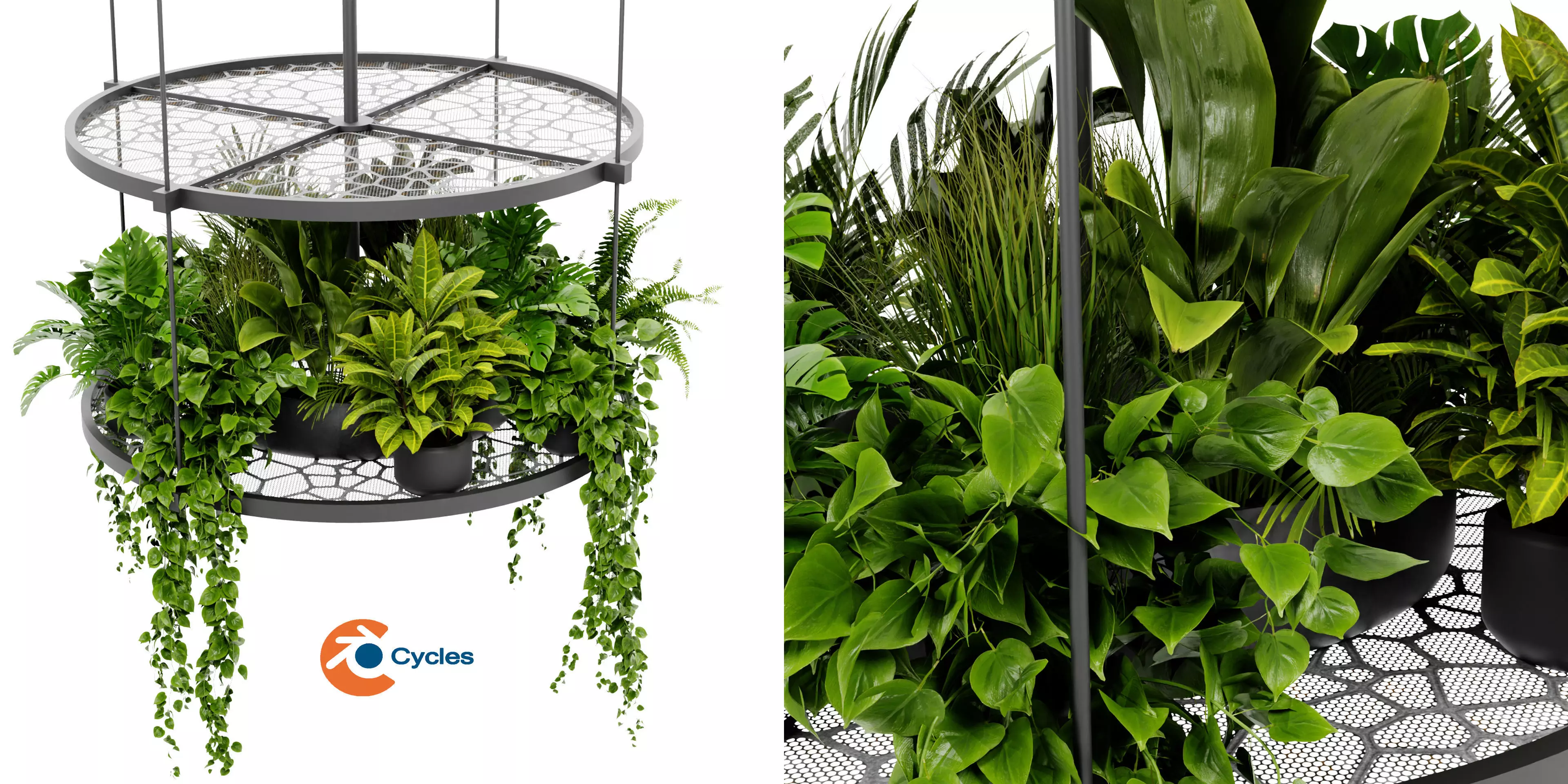 Collection plant vol 432 - blender model  3D model_0