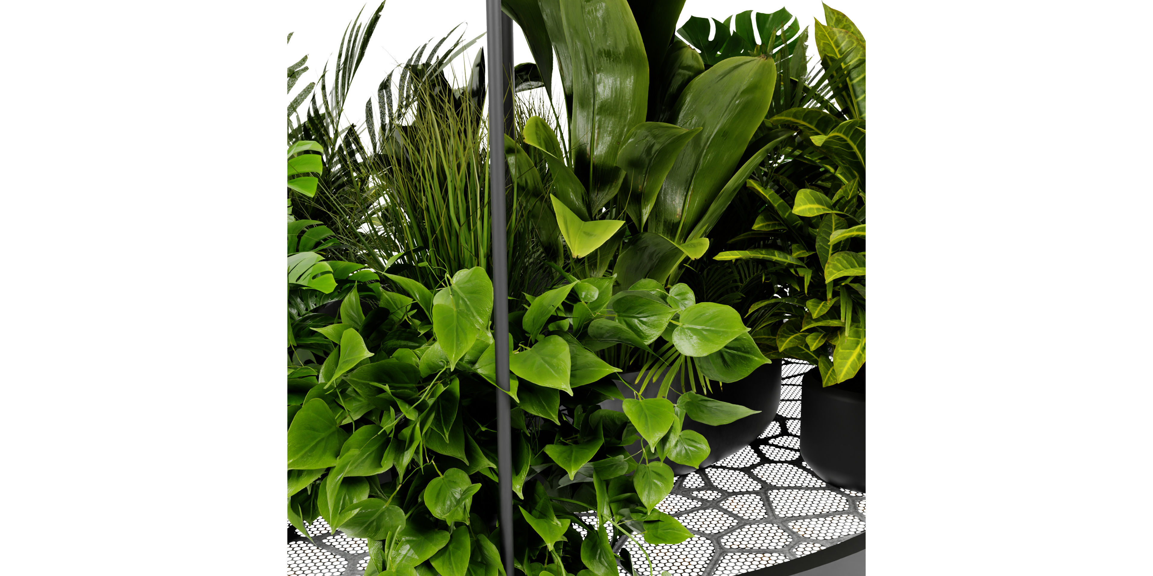 Collection plant vol 432 - blender model  3D model_4