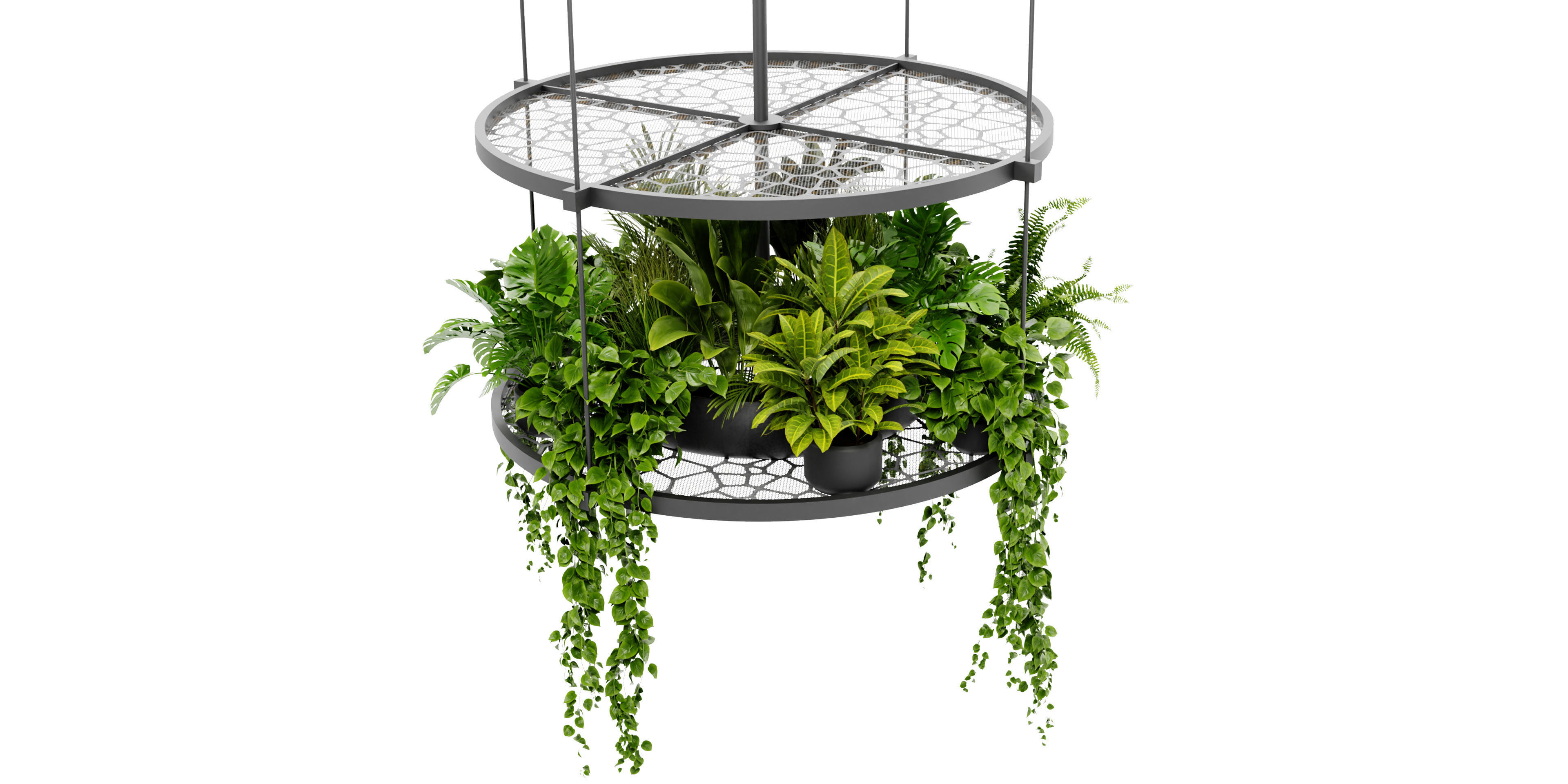 Collection plant vol 432 - blender model  3D model_1