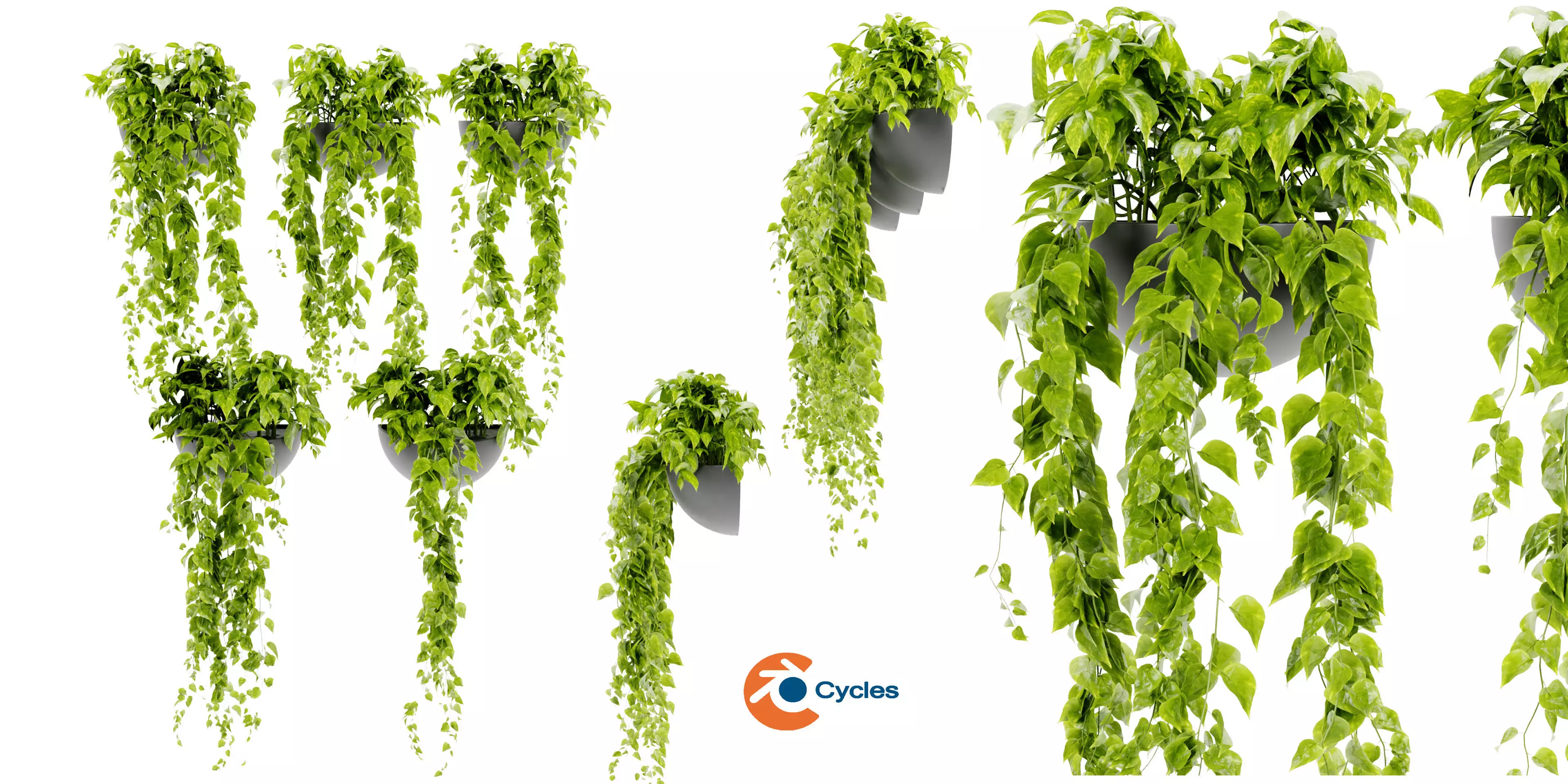 Collection plant vol 433 - blender model 3D model