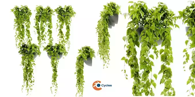 Collection plant vol 433 - blender model 