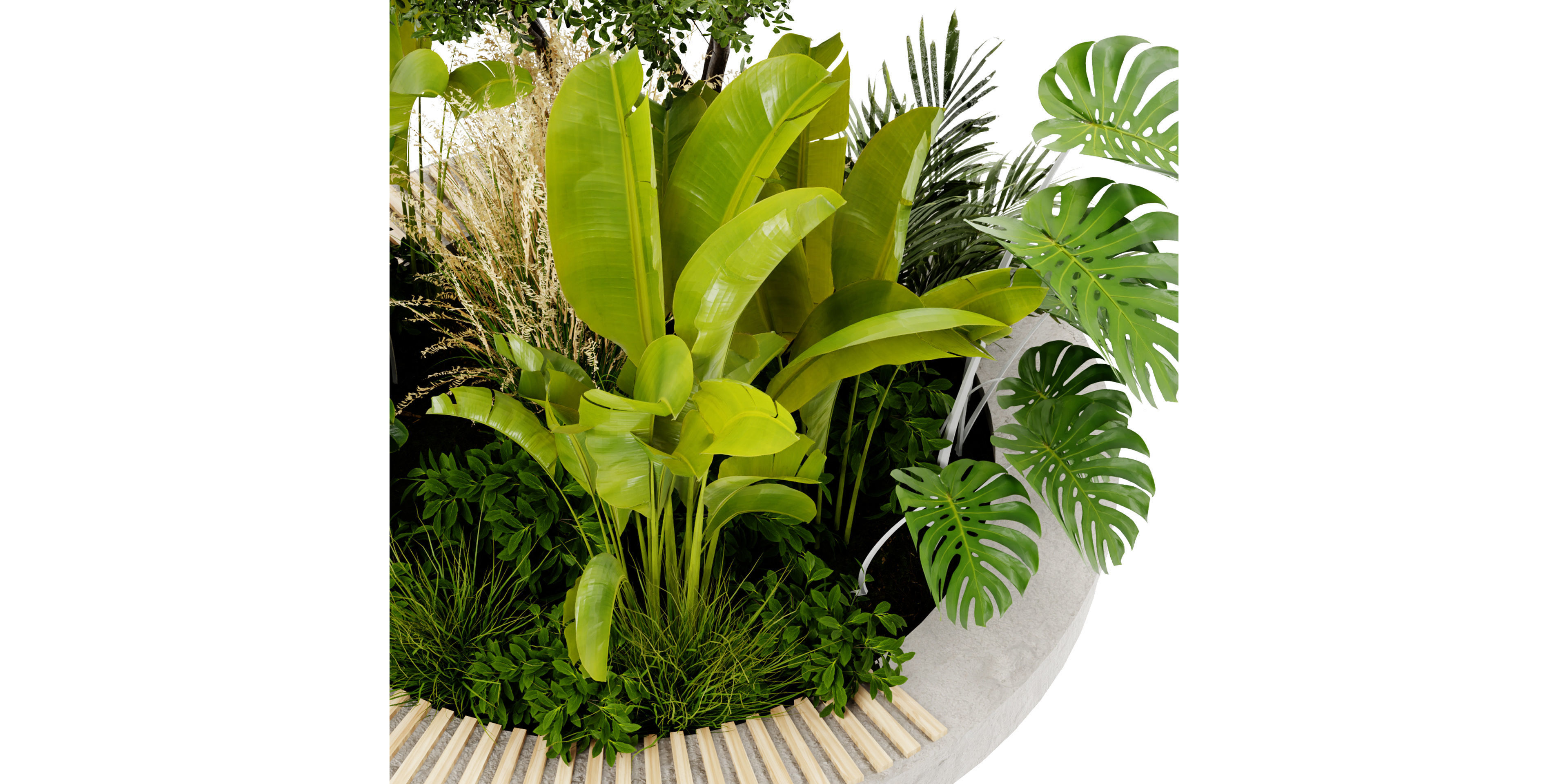  Collection plant vol 434 - blender model  3D model_5