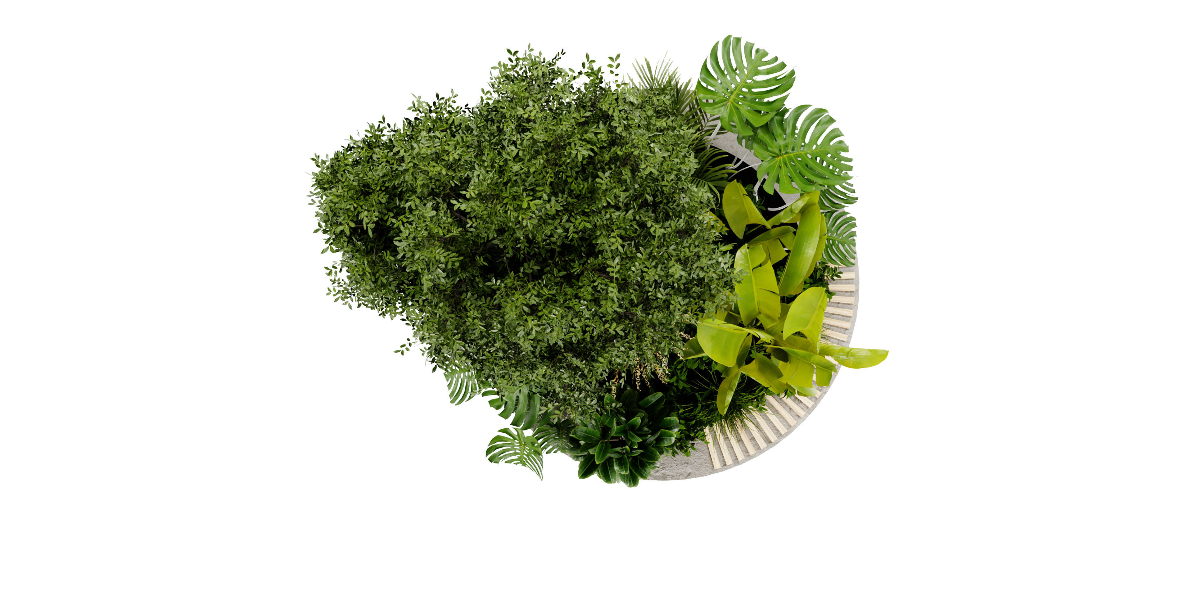  Collection plant vol 434 - blender model  3D model_4