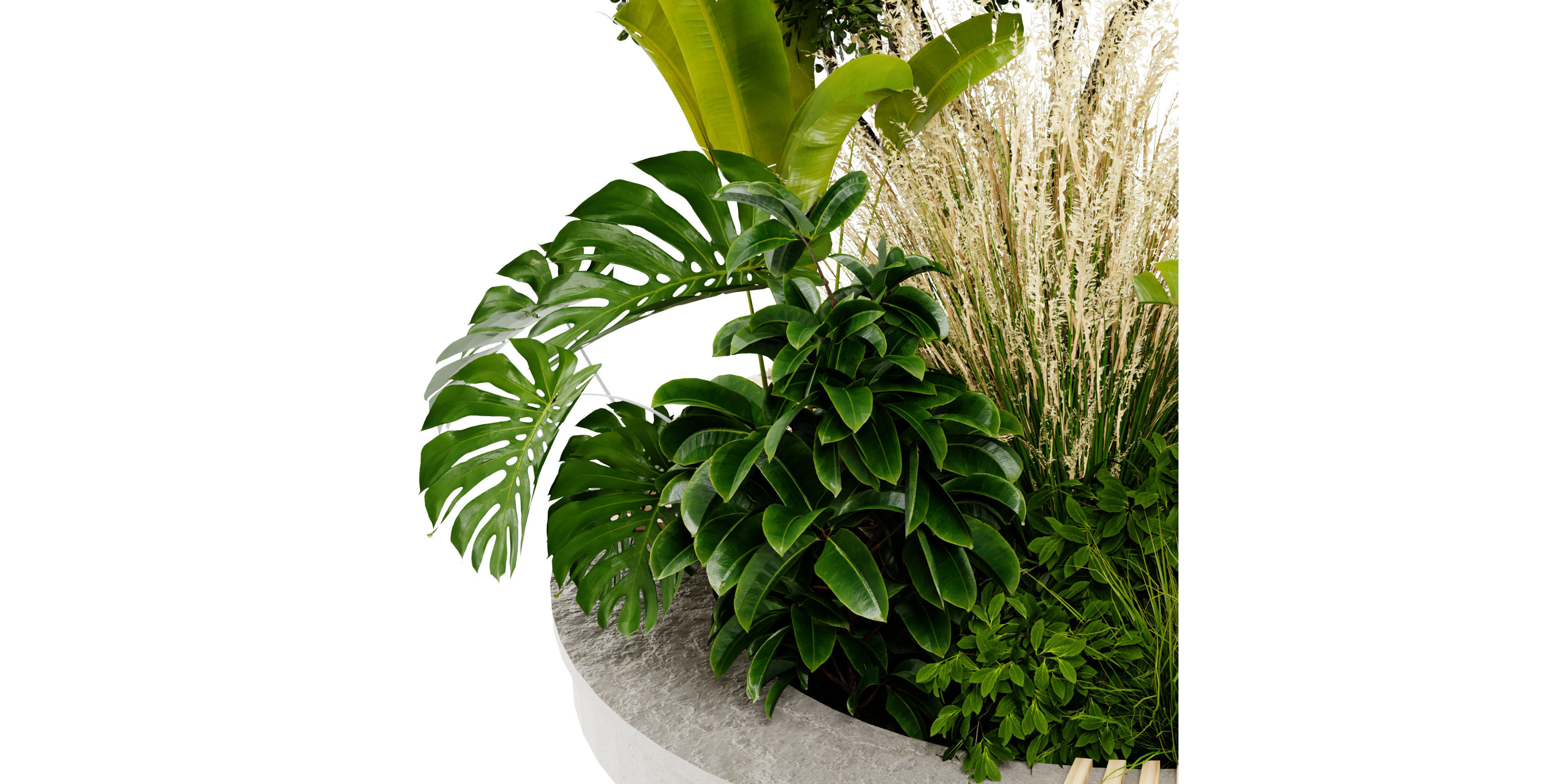  Collection plant vol 434 - blender model  3D model_3