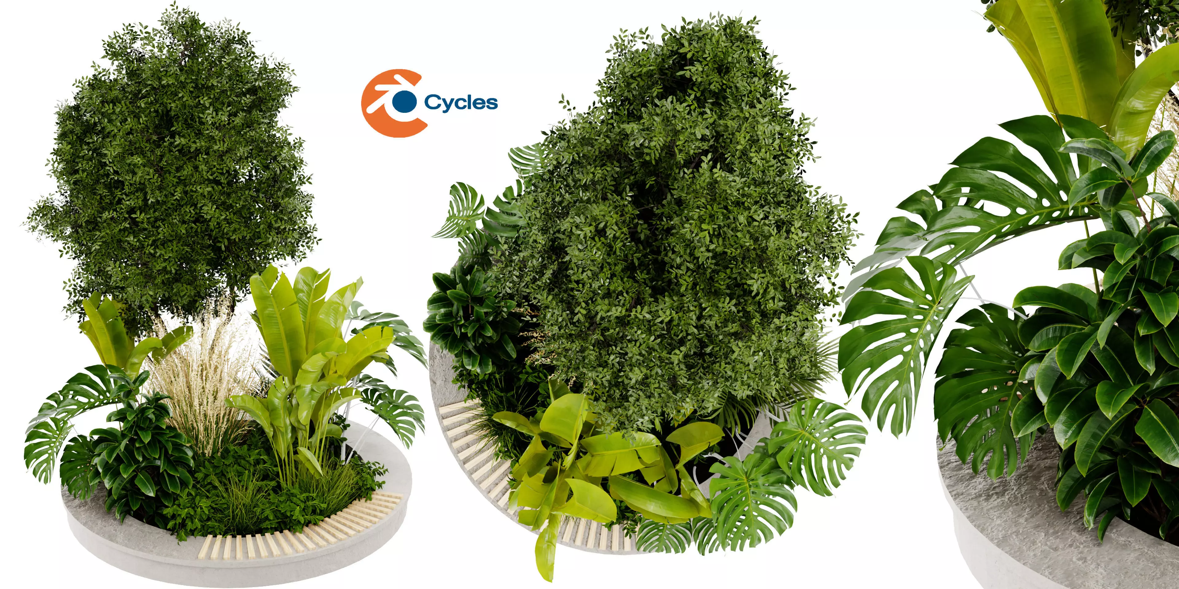  Collection plant vol 434 - blender model  3D model_0