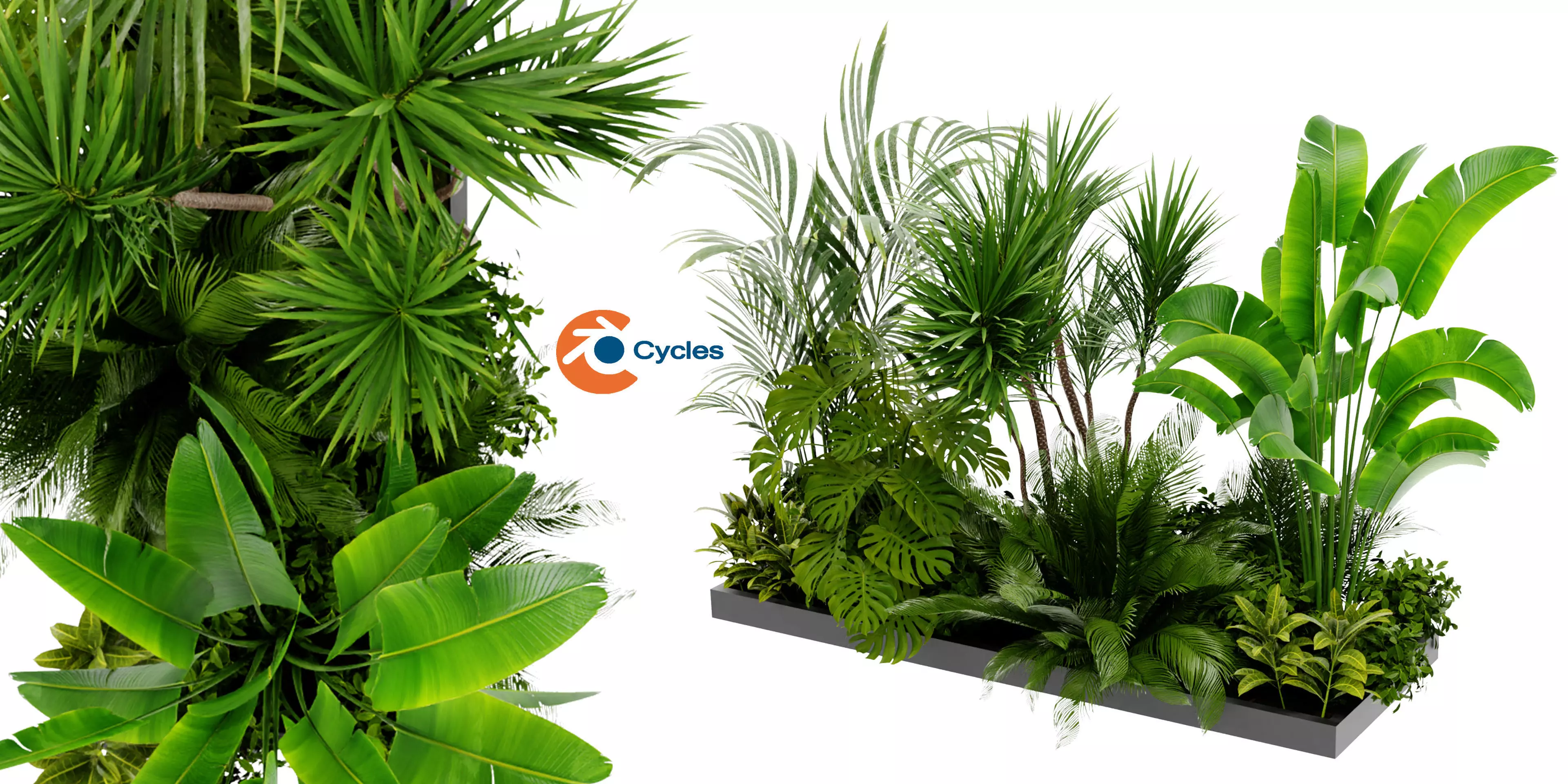 Collection plant vol 436 - blender model  3D model_0