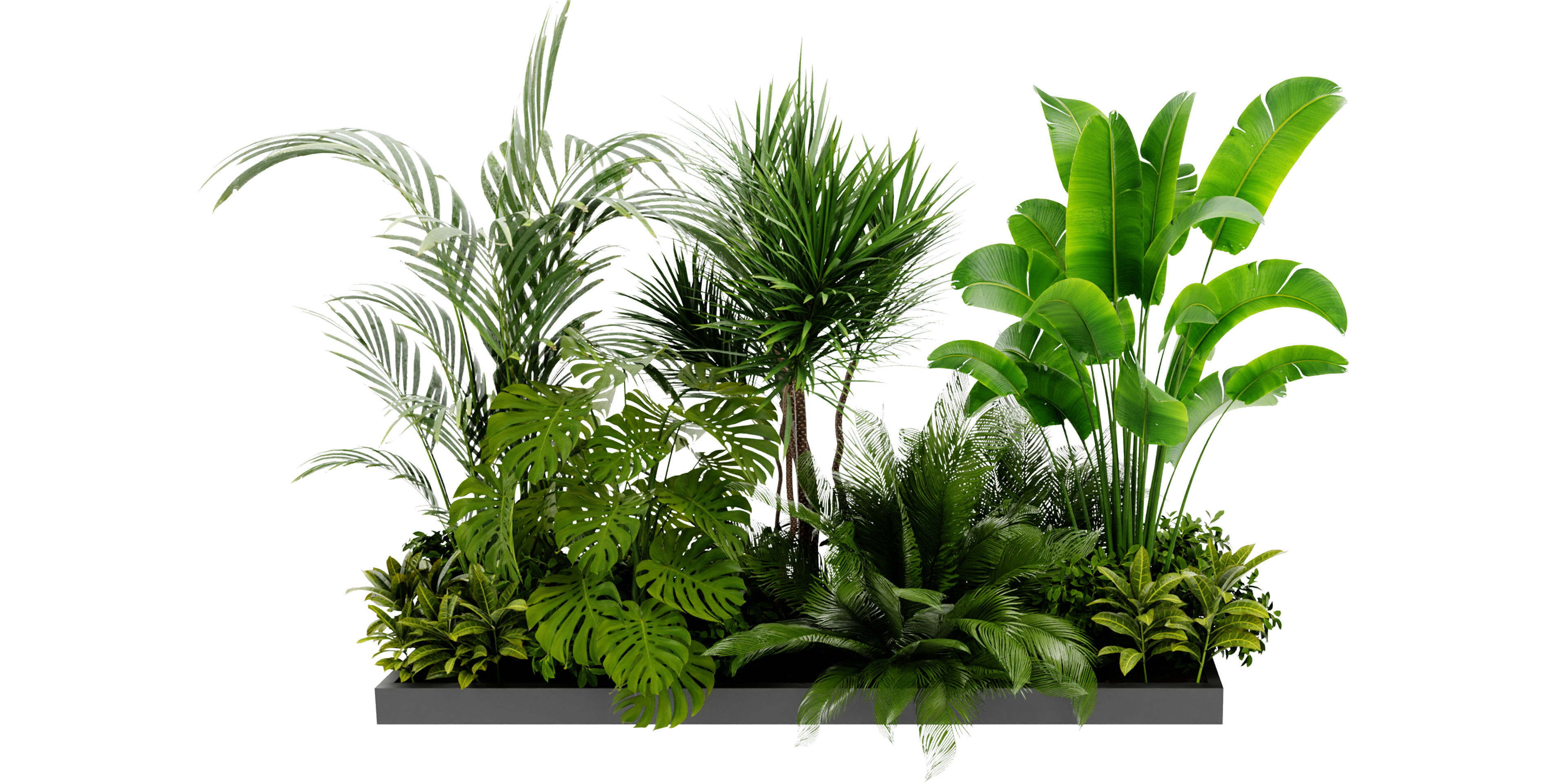 Collection plant vol 436 - blender model  3D model_1