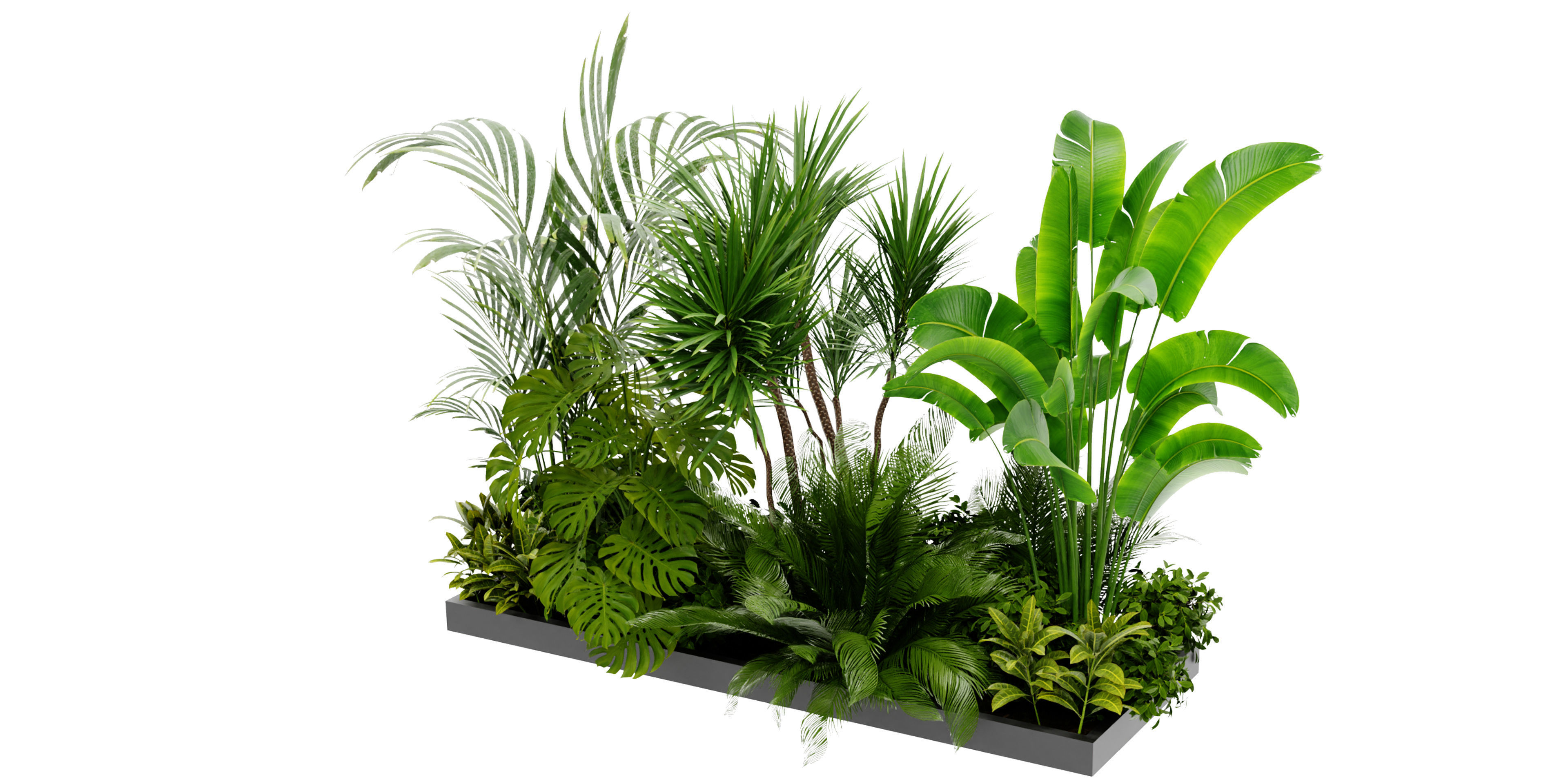 Collection plant vol 436 - blender model  3D model_4