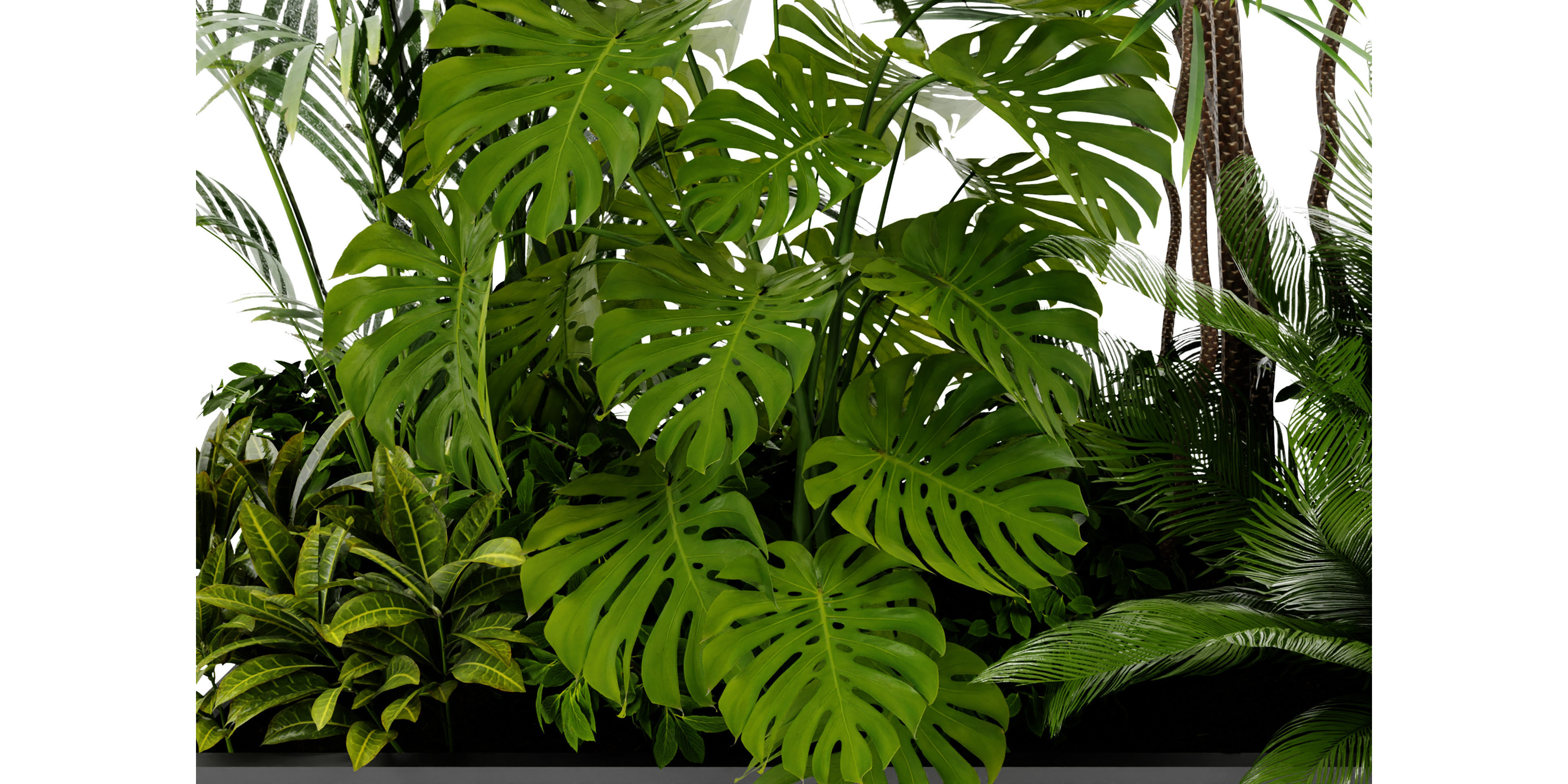 Collection plant vol 436 - blender model  3D model_3