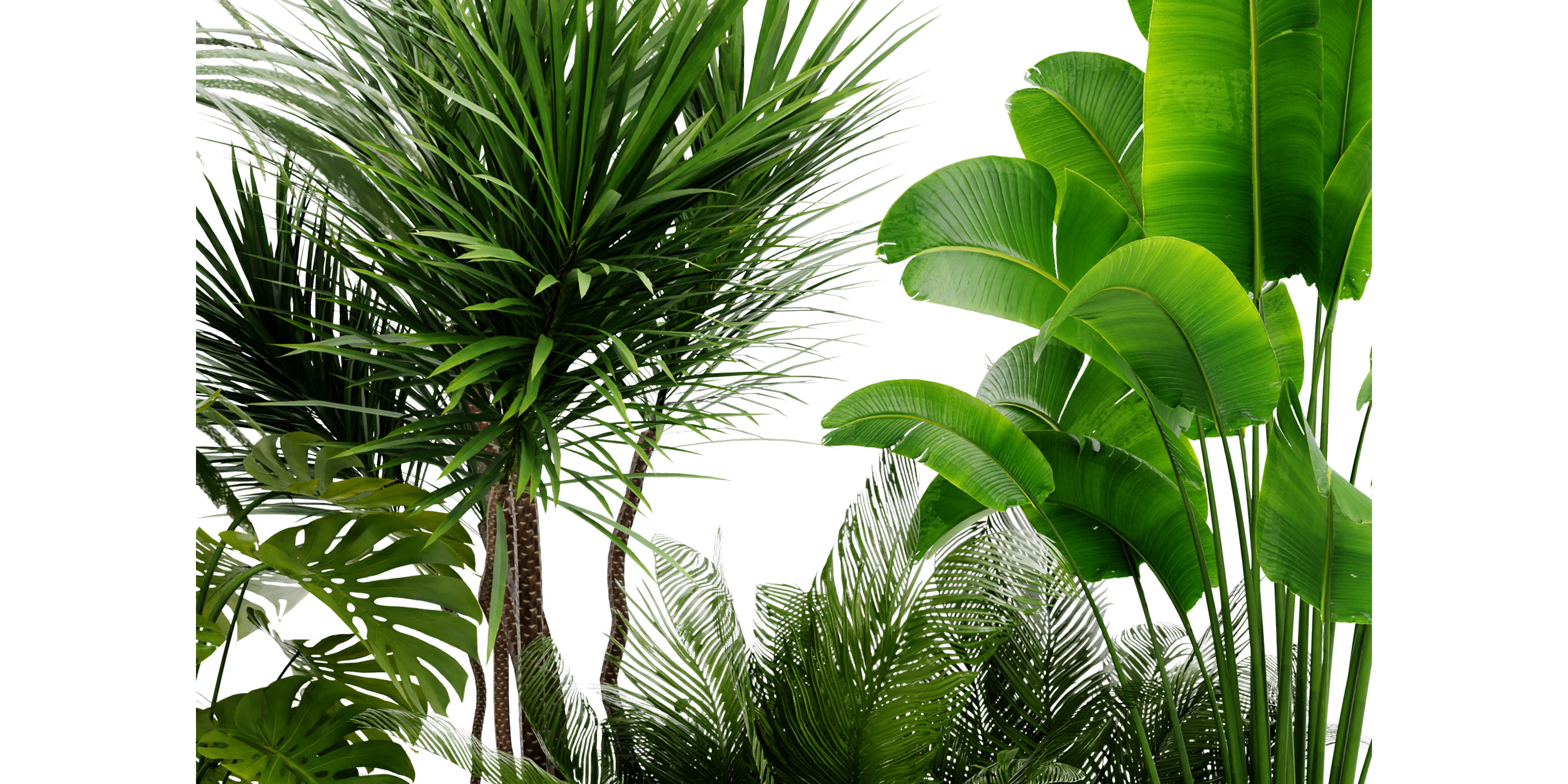 Collection plant vol 436 - blender model  3D model_2