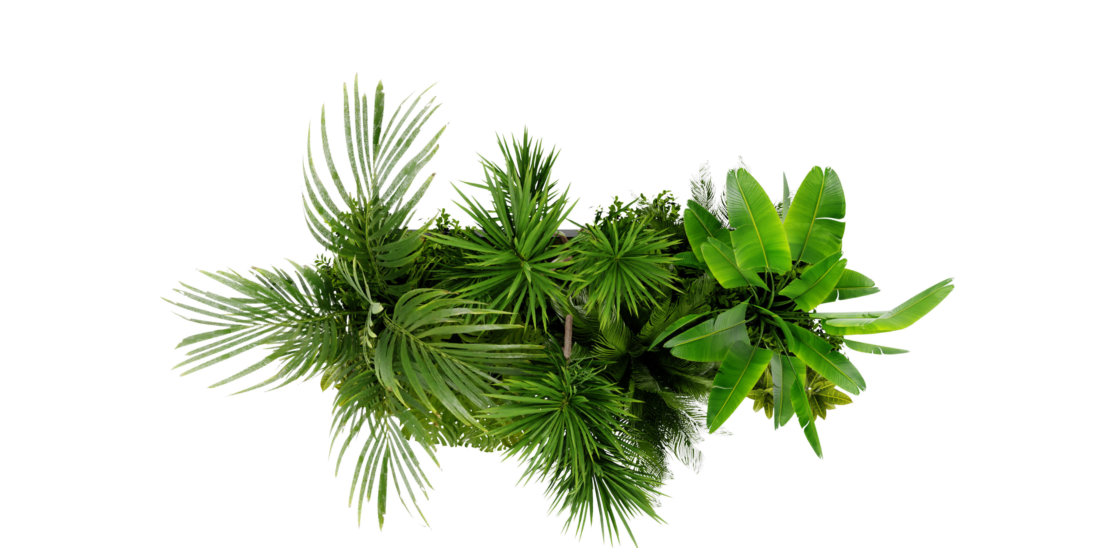 Collection plant vol 436 - blender model  3D model_5