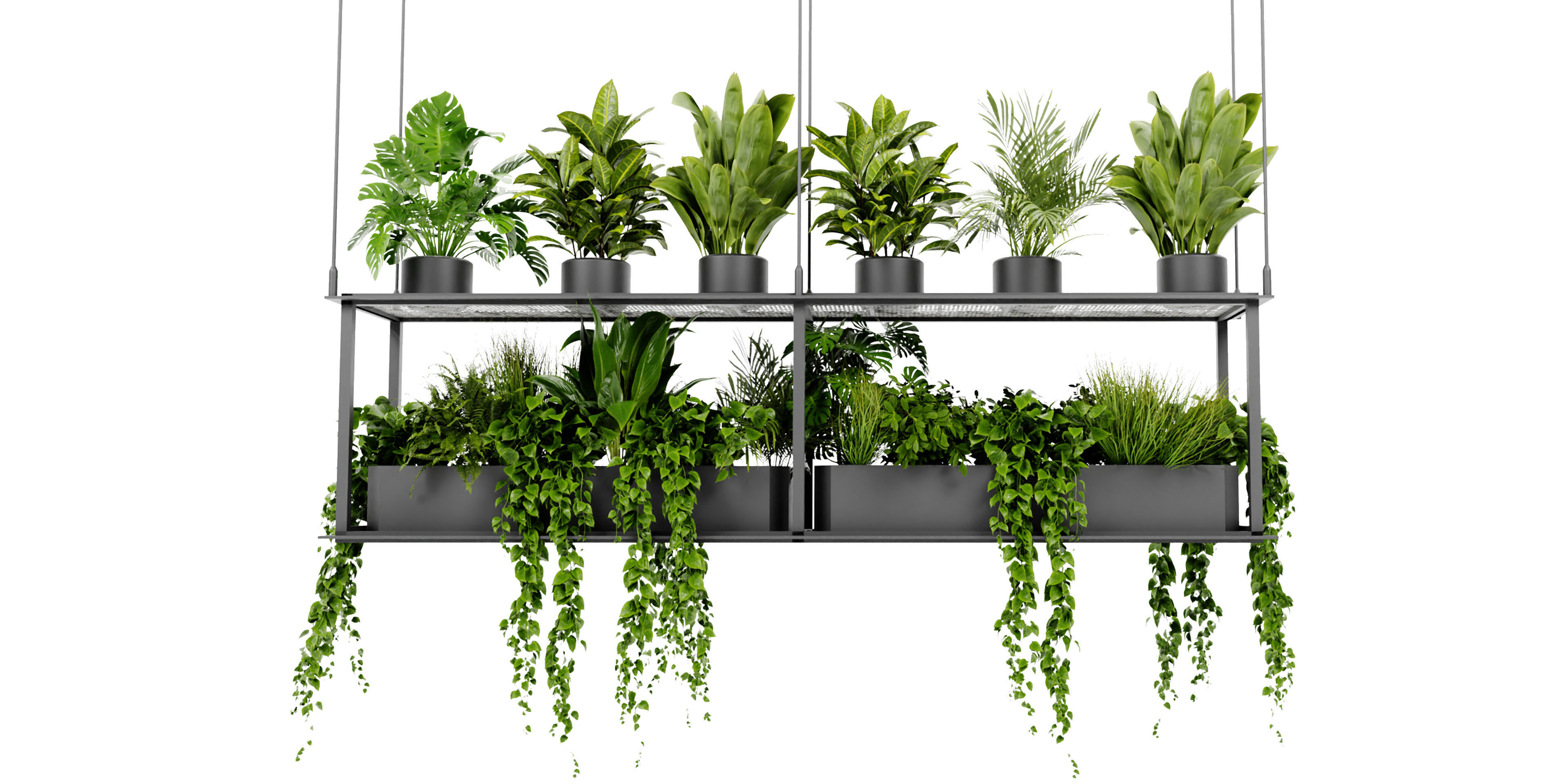 Collection plant vol 439 - blender model  3D model_1