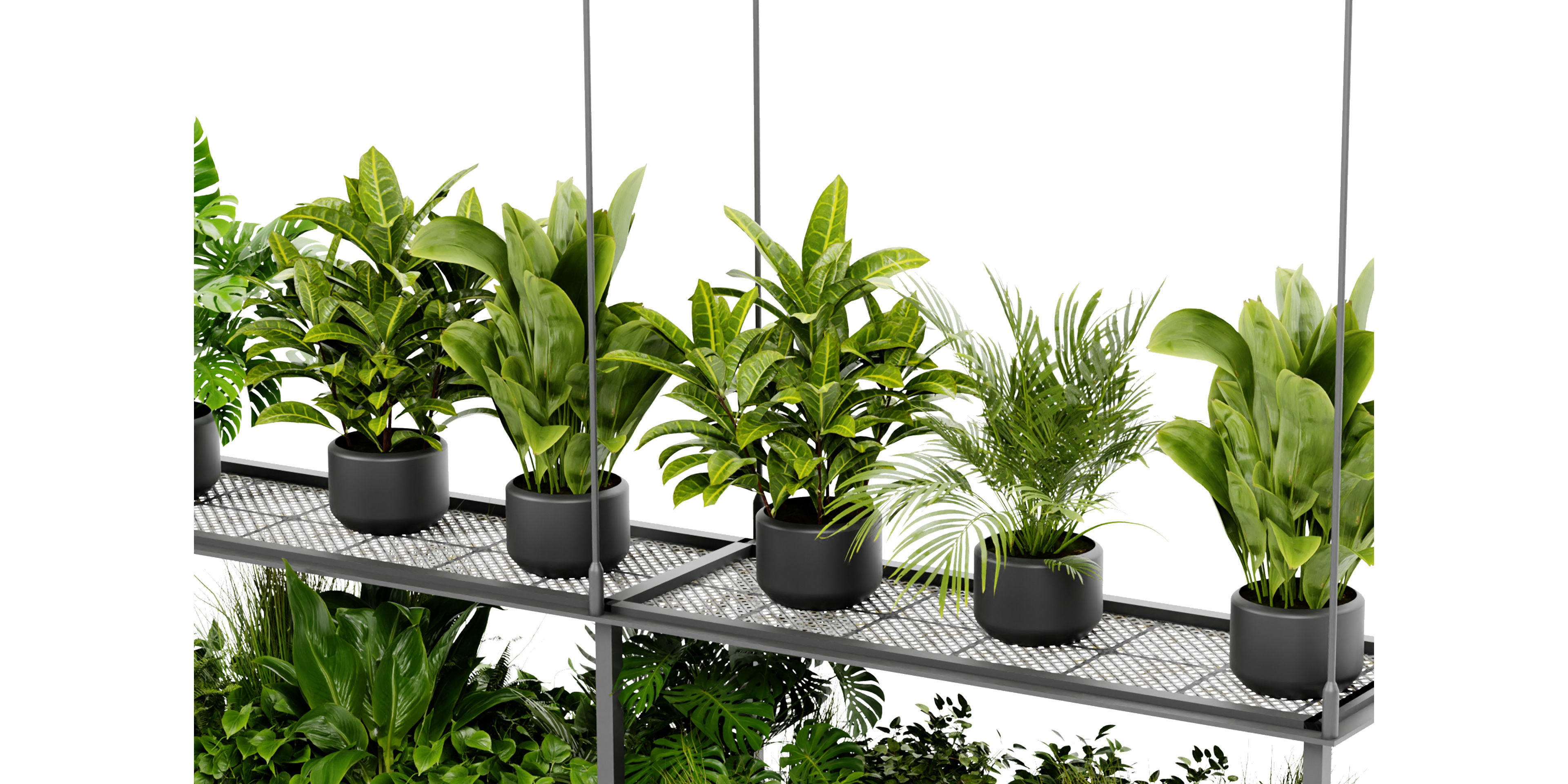 Collection plant vol 439 - blender model  3D model_5