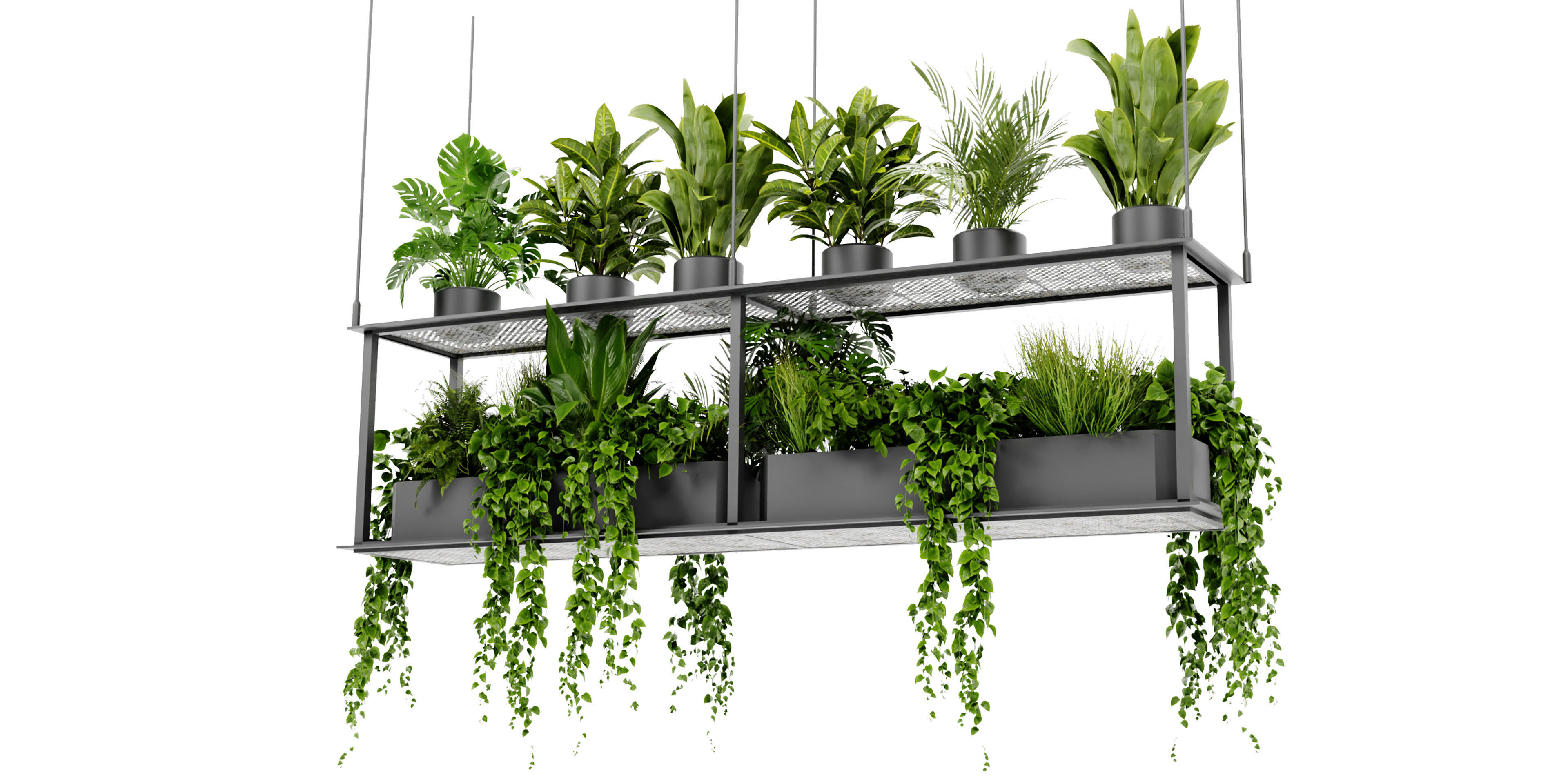 Collection plant vol 439 - blender model  3D model_3