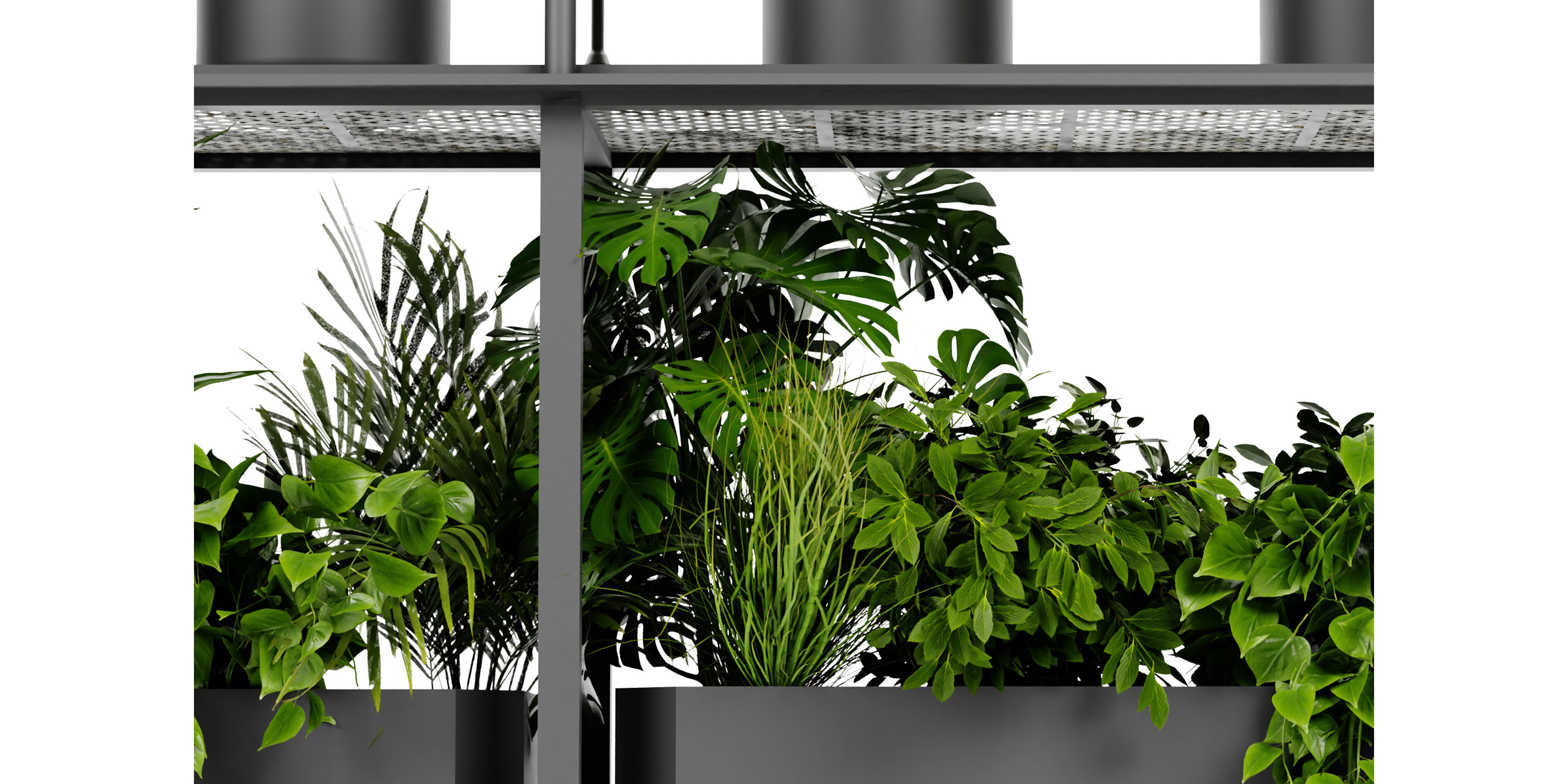 Collection plant vol 439 - blender model  3D model_2