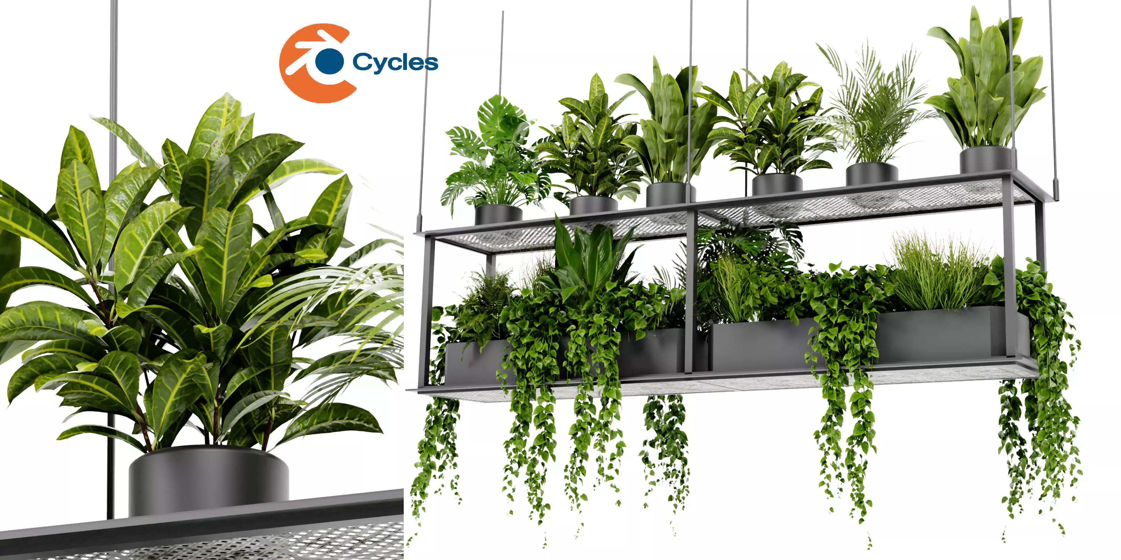 Collection plant vol 439 - blender model  3D model_0