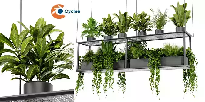 Collection plant vol 439 - blender model 