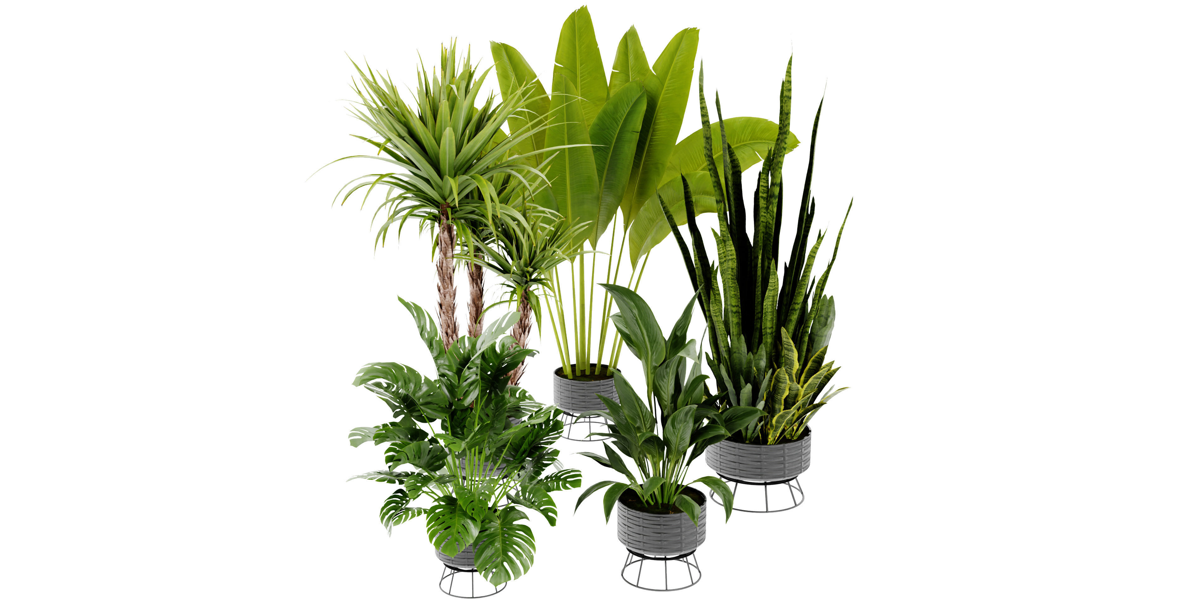 Collection plant vol 440 - blender model  3D model_1