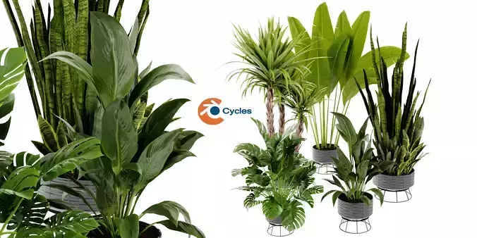 Collection plant vol 440 - blender model 