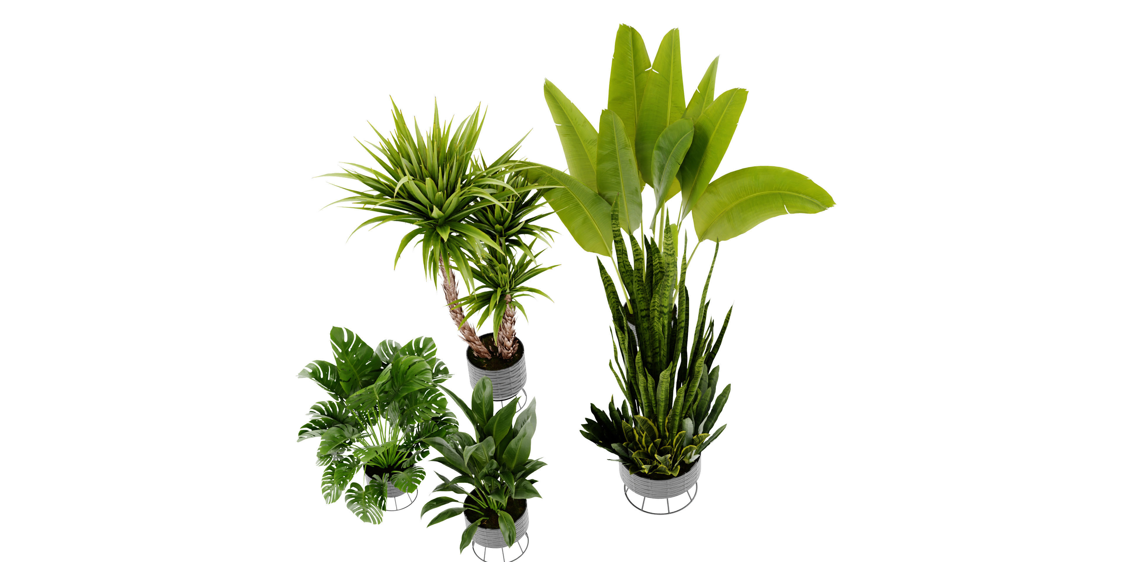 Collection plant vol 440 - blender model  3D model_5