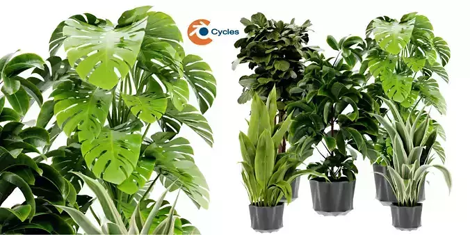 Collection plant vol 441 - blender model 