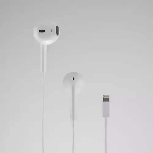 Apple Headphones