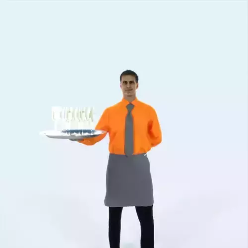 Romance 05L Waiter Offering Working Man