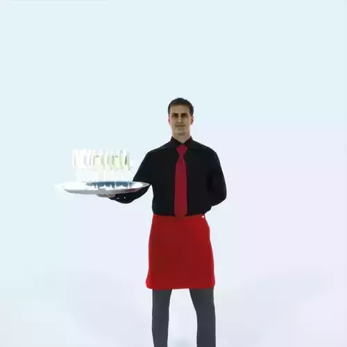 Romance 05J Waiter Offering Working Man