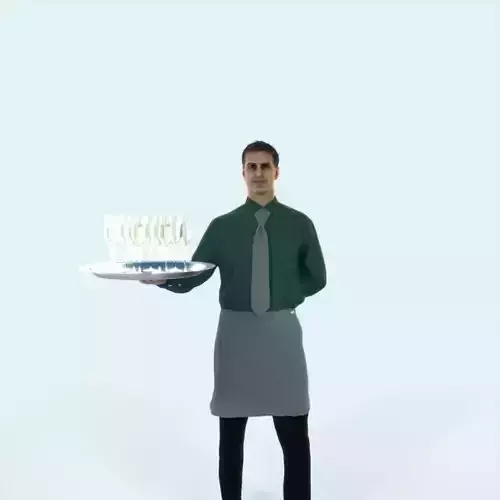 Romance 05H Waiter Offering Working Man