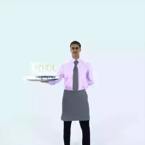 Romance 05G Waiter Offering Working Man