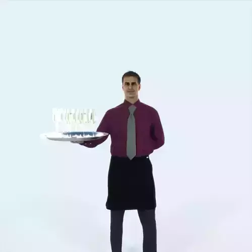 Romance 05F Waiter Offering Working Man