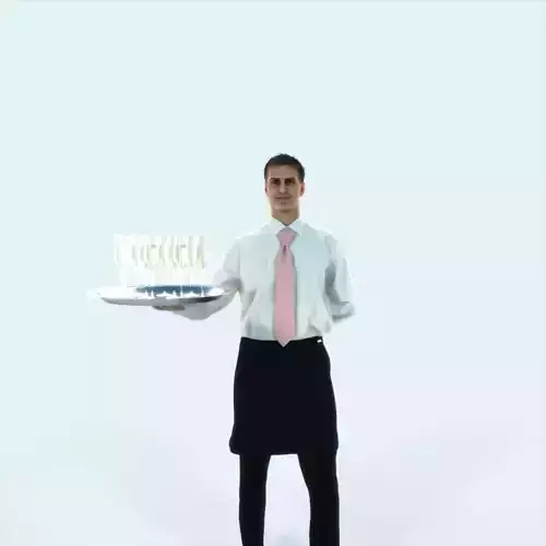 Romance 05D Waiter Offering Working Man