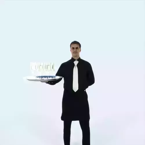 Romance 05B Waiter Offering Working Man