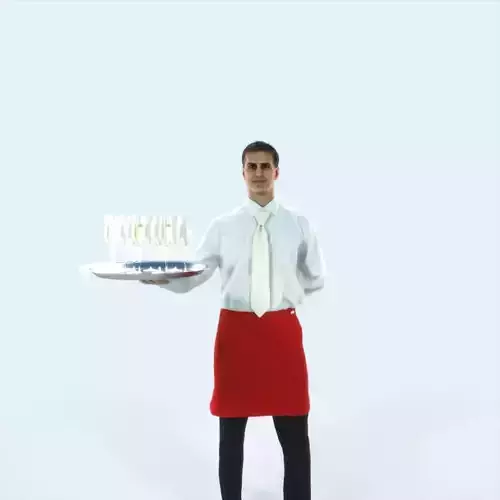 Romance 05A Waiter Offering Working Man