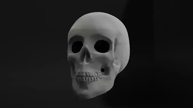 Skull