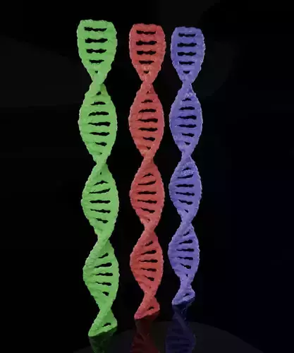 DNA 3D model Low-poly 3D model