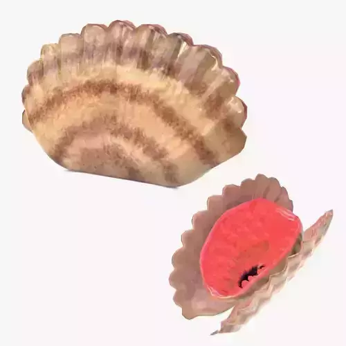 seashell monster Low-poly 3D model