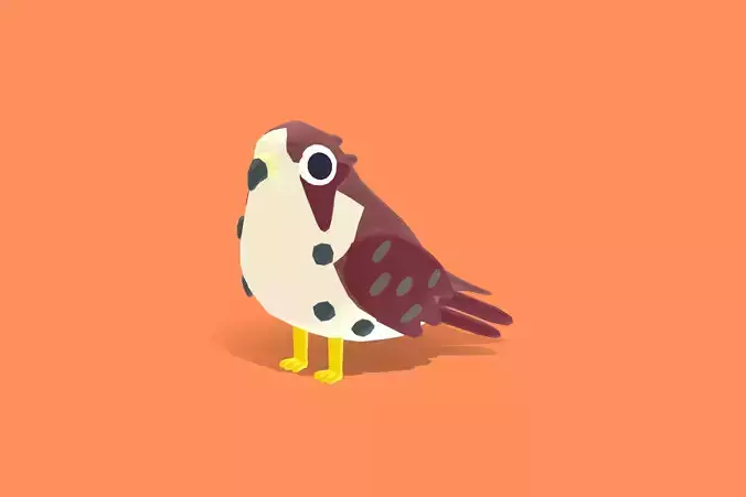 Quirky Series - Barbary Falcon