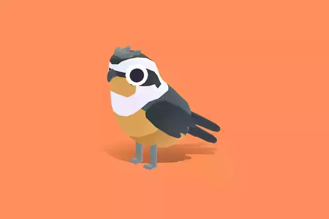 Quirky Series - Collared Falconet