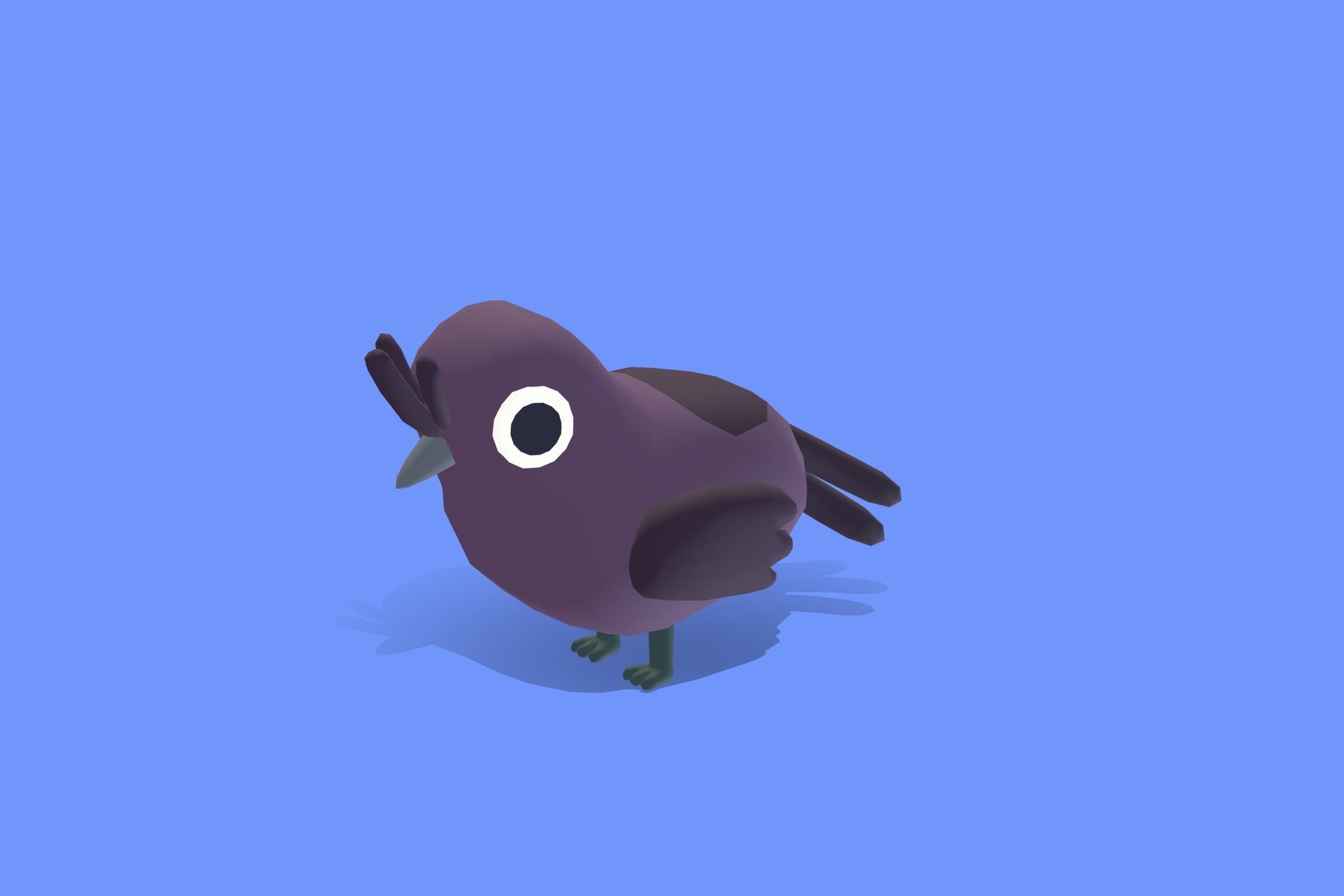 Quirky Series - Drongo Low-poly 3D model_4