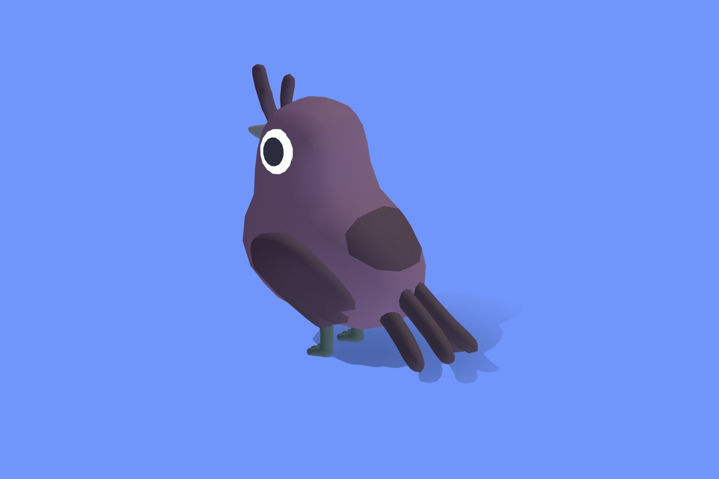 Quirky Series - Drongo Low-poly 3D model_2
