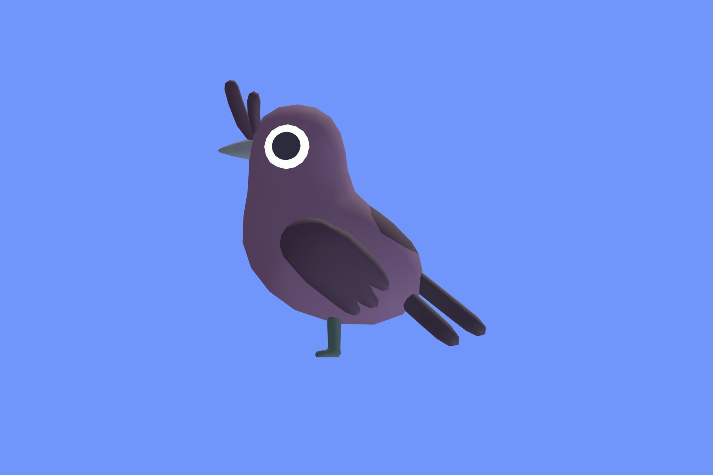 Quirky Series - Drongo Low-poly 3D model_1
