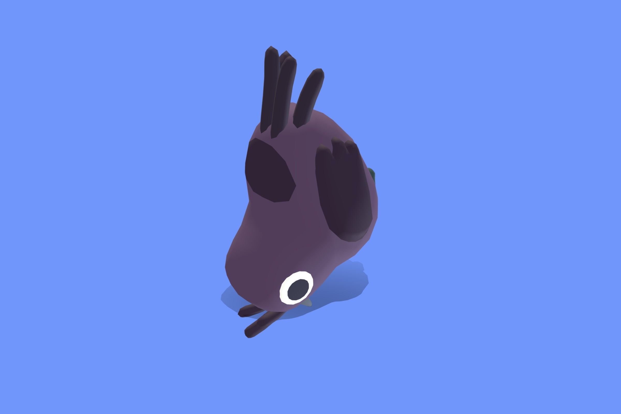 Quirky Series - Drongo Low-poly 3D model_7