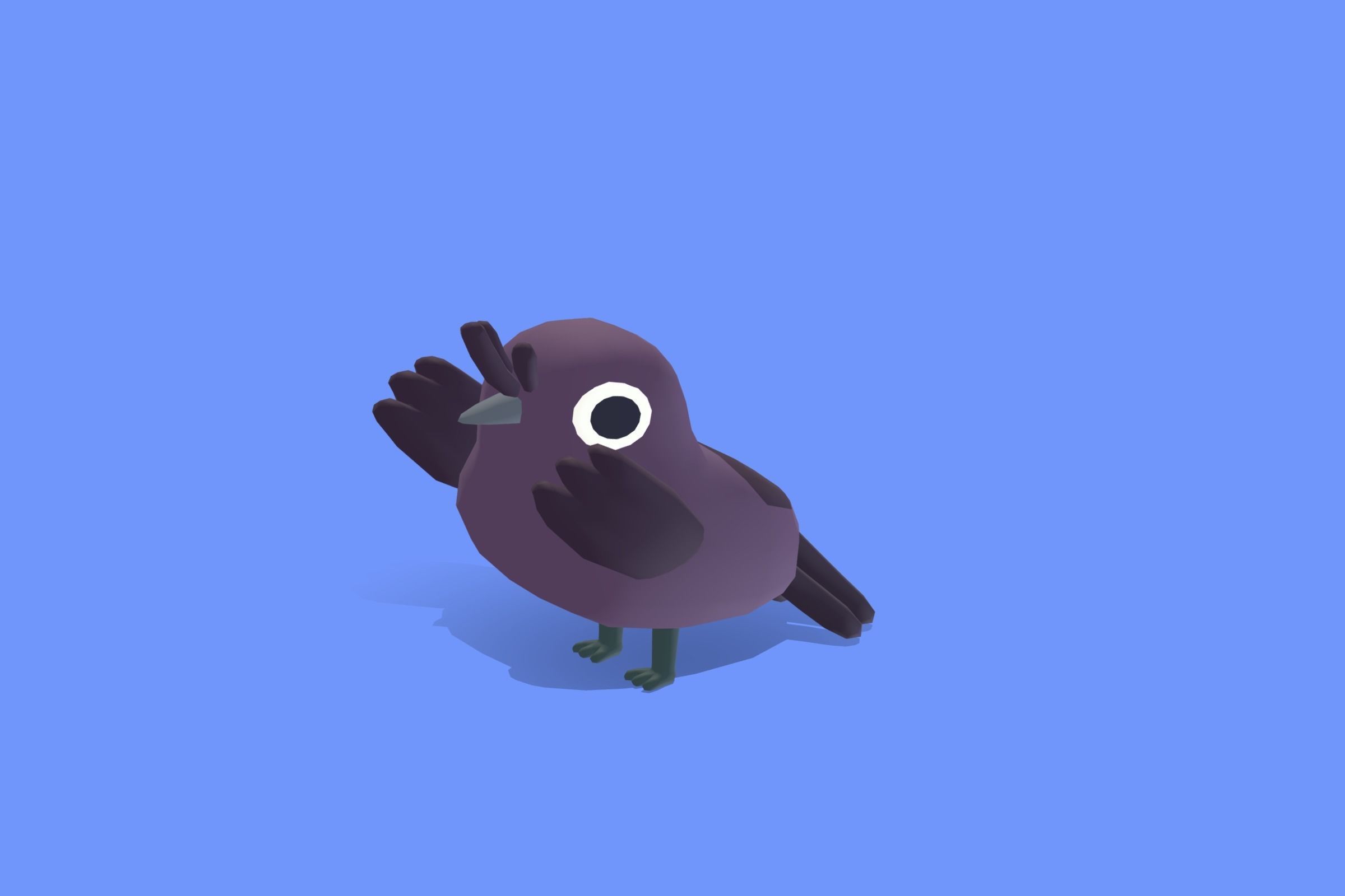 Quirky Series - Drongo Low-poly 3D model_5