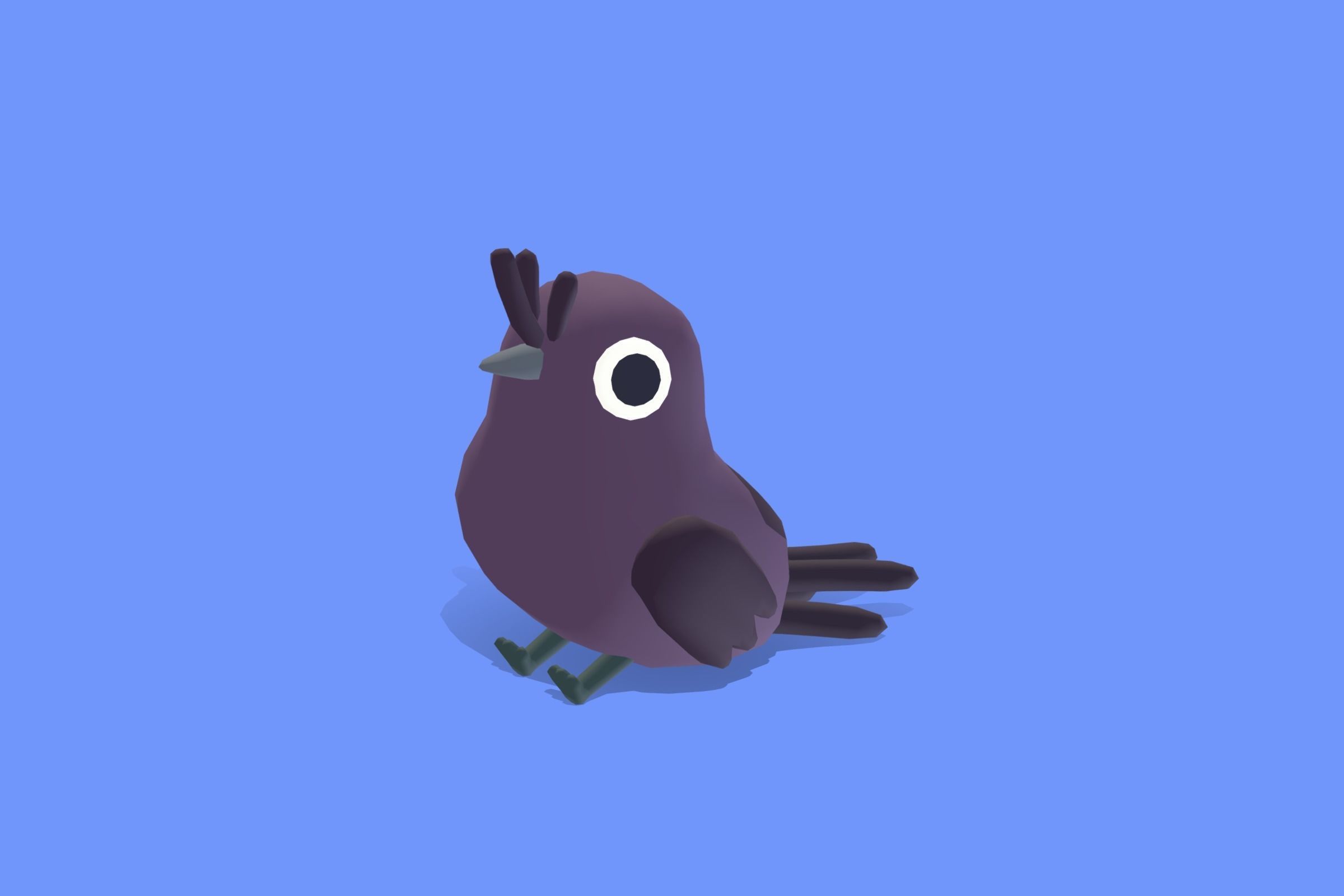 Quirky Series - Drongo Low-poly 3D model_8
