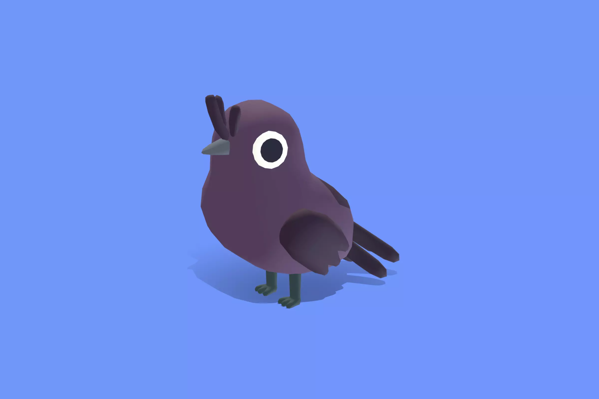 Quirky Series - Drongo Low-poly 3D model_0