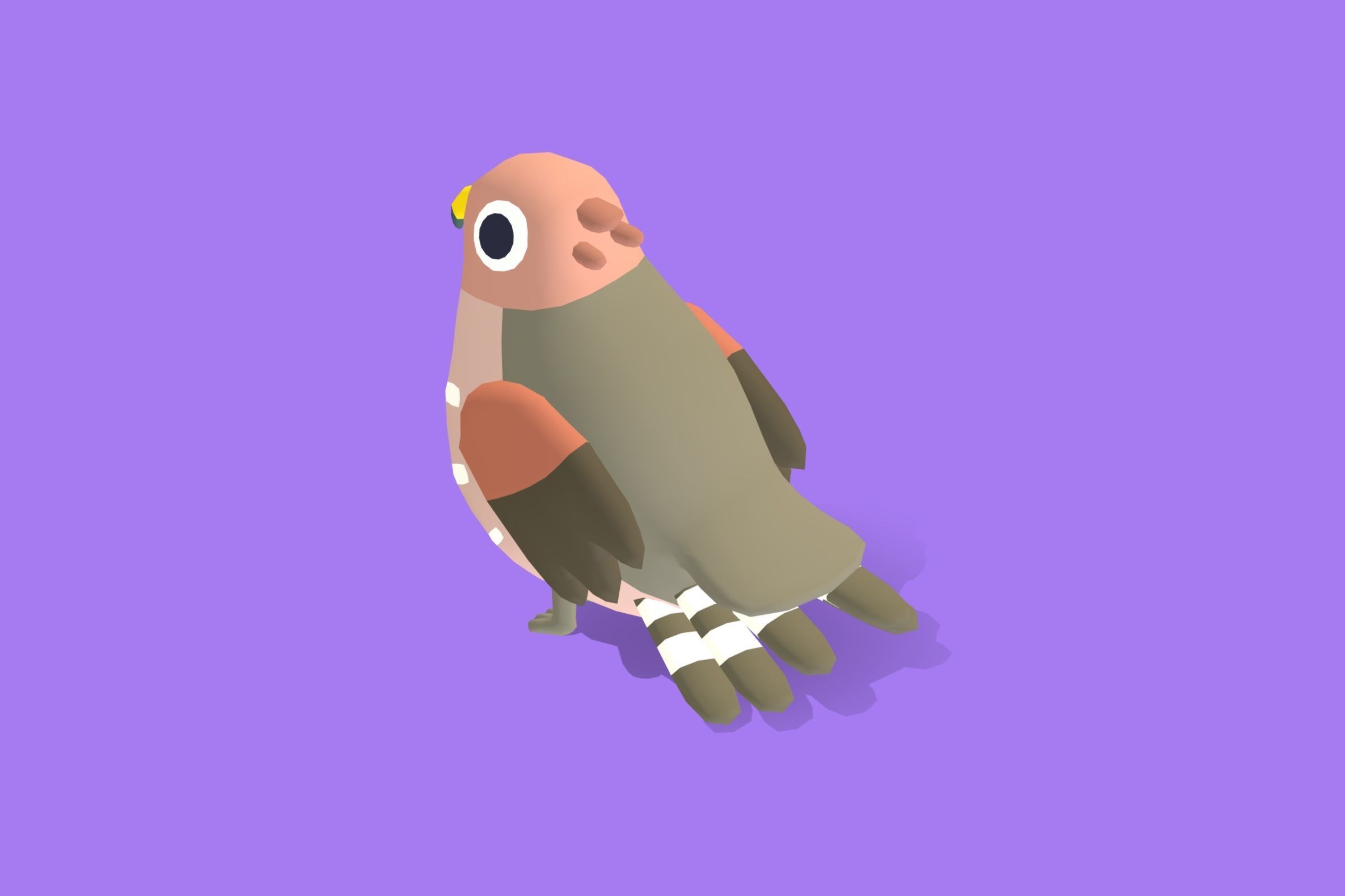 Quirky Series - Red Shouldered Hawk Low-poly 3D model_2