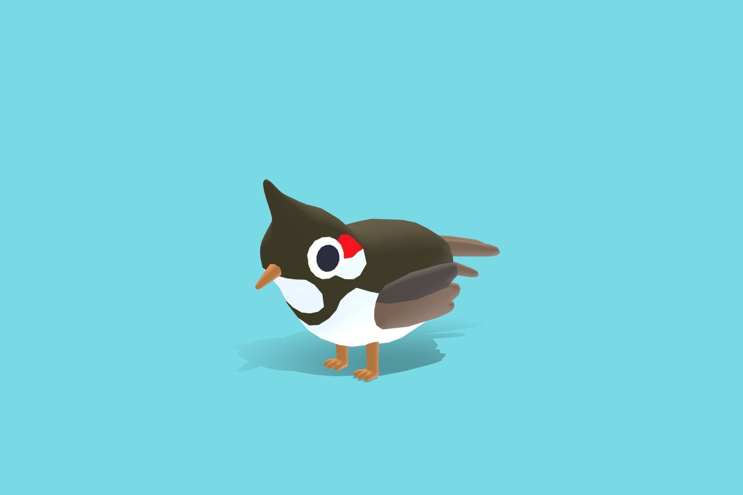 Quirky Series - Red Whiskered Bulbul Low-poly 3D model_5