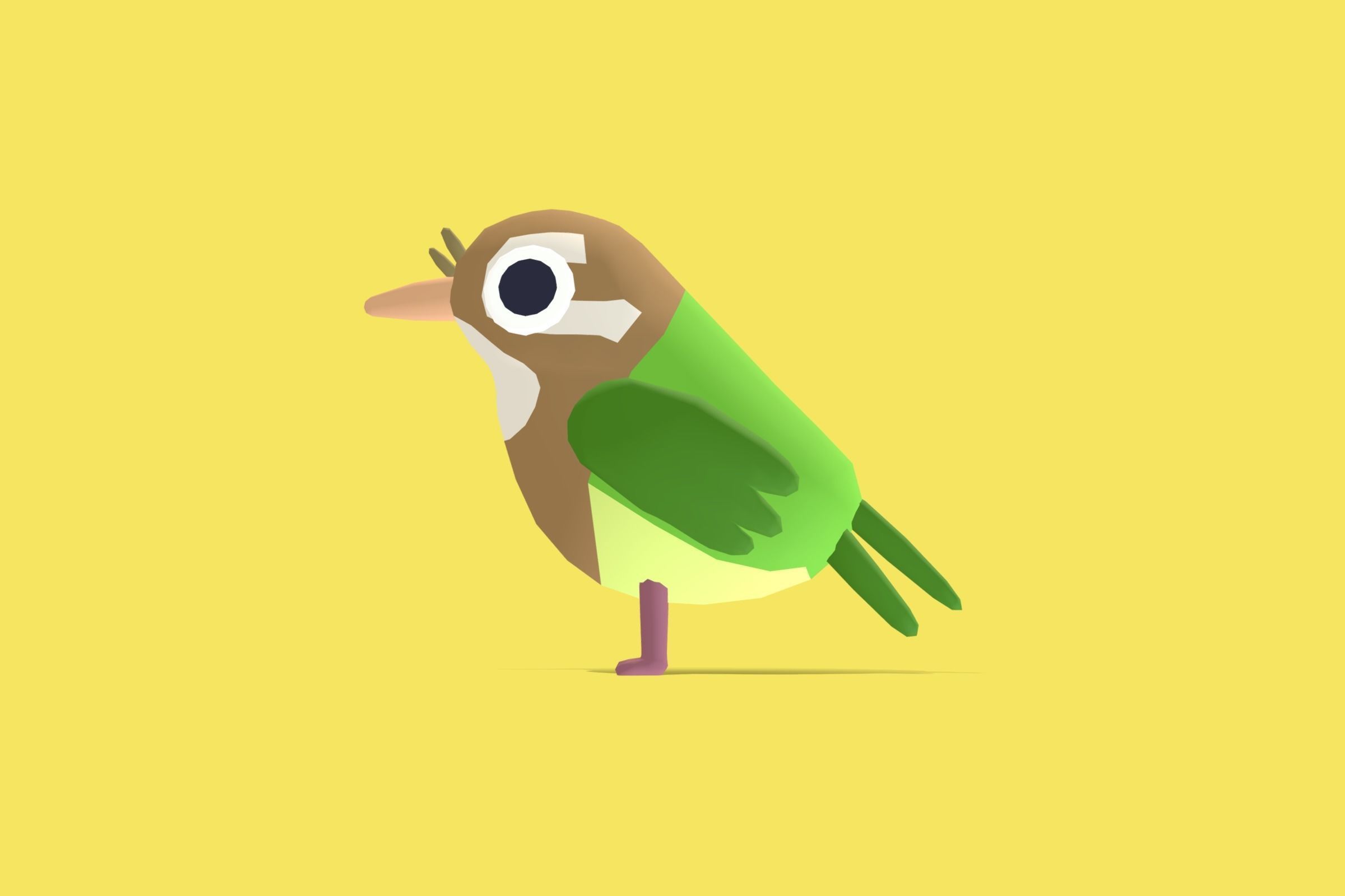 Quirky Series - White Cheeked Barbet Low-poly 3D model_1